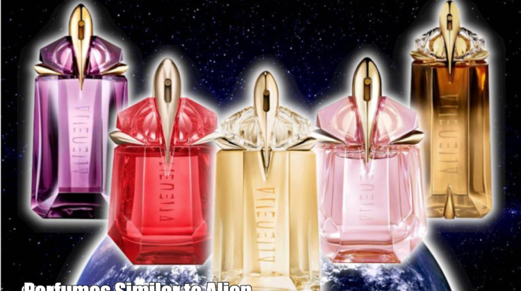 Perfumes Similar to Alien