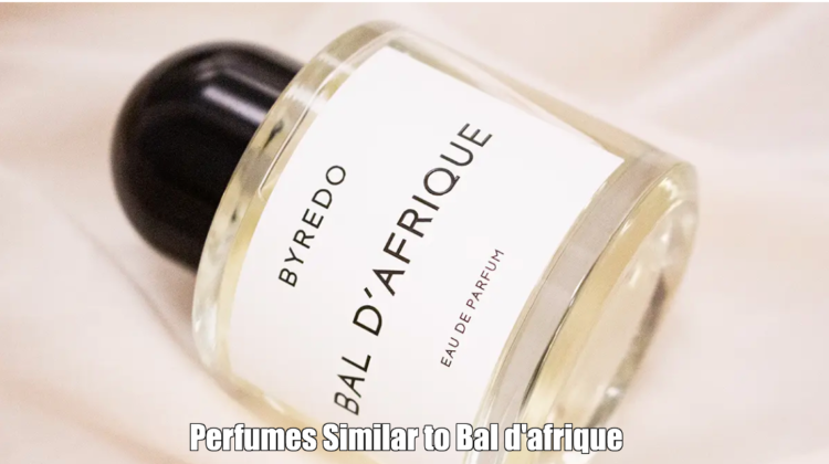 Perfumes Similar to Bal d'afrique