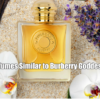 Perfumes Similar to Burberry Goddess