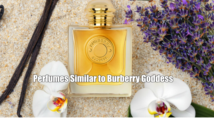 Perfumes Similar to Burberry Goddess